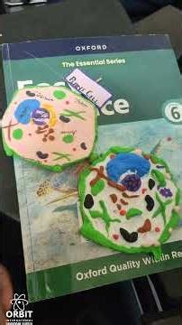 science 3d models | students making with clay