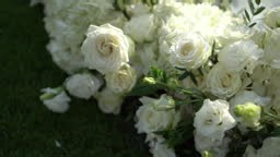 Wedding Ceremony Setup