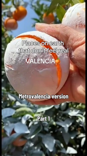 #metrovalenciacore #metrovalencia