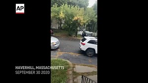 Authorities in Massachusetts capture runaway emu