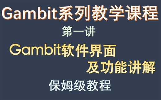 【怂管木觉兽】保姆级教程 手把手教你如何使用gambit（一）