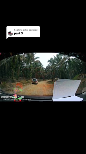 Dashcam Video Malaysia: Lembu Car Crash Moments