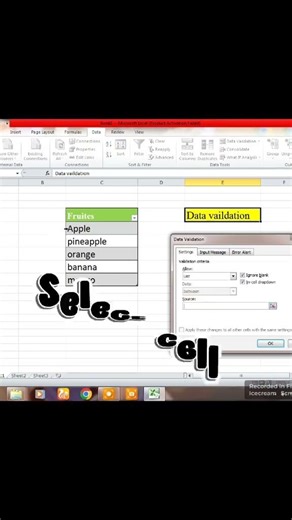 How To Use Data validation in Ms Excel 💯💯✅✅ #data #validation #spreadsheet
