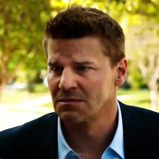 Seeley Booth Analysis from Bones TV Show