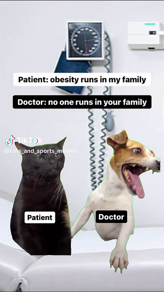 Funny Cat Exercise Meme Compilation