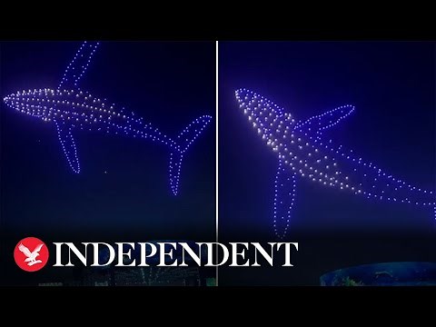 Drones form shape of whale during light show above coronation concert