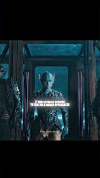 The War Between the Land and the Sea (2025)