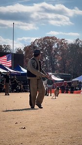 7.8K views · 3.7K reactions | Only in Demanet. PSA Worlds bite work underway. 亮  . . . #K9 #PSAK9 #PoliceK9 #K9unit #mondioring #Frenchring #belgianmalinois #Malinois #Gsd #malinoisofinstagram #gsdofinstagram #psak9 #protectionsportsassociation #dogsports #bitesuit #demanet #demanetbitesuits #kirbyk9 #policek9training #decoytraining #decoyschool #bitesleeve #belgiansleeve | Kirby K9 | Facebook