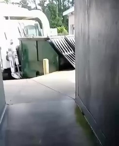 This is undercover video of a dog being thrown away like trash at Columbia Animal Services in Colombia, SC. It was reported on that the employee who posted the video was fired. The other photo appears to be dead animals being stacked in shopping carts after being euthanized. This is far from dignified and not at all how the dead should be treated. Concerned citizens have sounded the alarm about behaviors going on at this shelter for some time now, but they are met with threats and end up getting