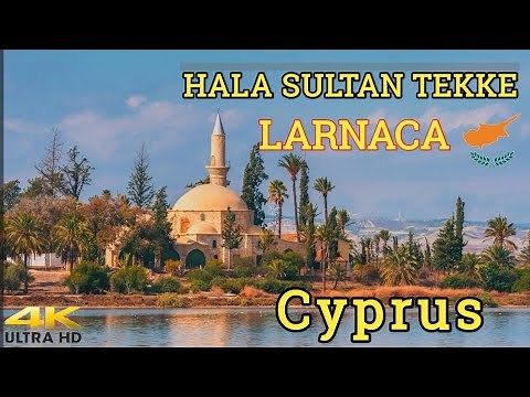 Hala Sultan Tekke | Larnaca | Cyprus 🇨🇾 #larnaca #ottoman #cyprus #mosque #travelarc