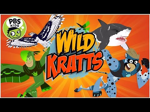 Wild Kratts Rescue Run: Wild Kratts Endless Running Adventure || Wild Kratts Games