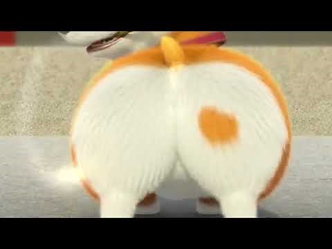 Moco Corgi's lunar cakes