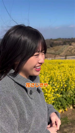 あわじ花さじきに行ってきたよ🌼 #淡路島