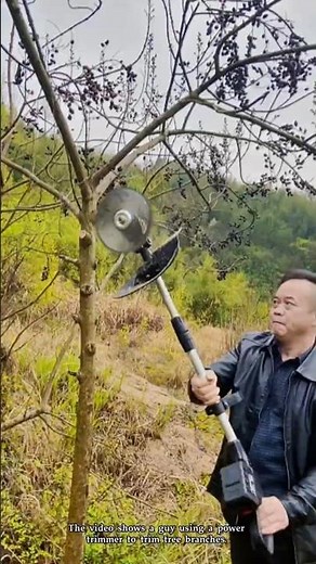 Using a trimmer to cut tree branches: good tools really boost efficiency.