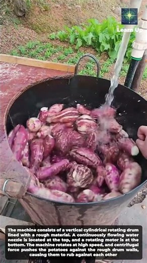 Multipurpose Potato Washing Machine - Low Version