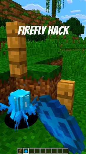 Minecraft Allay hack