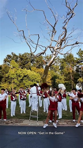 20K views · 125 reactions | NOW OPEN: “Get in the Game: Sports, Art,...