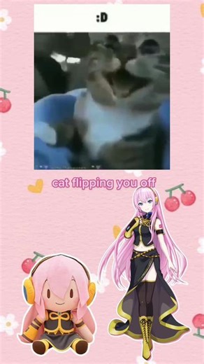 cat flipping you off #megurinelukacrops #fyp #croppedcat #catsoftiktok #catmeme #croppedvideos #croppedmeme #foryoupage #xyzbca