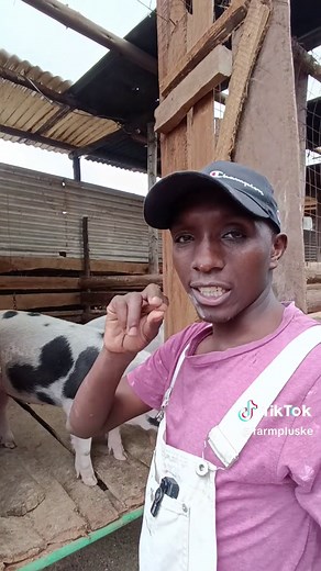 Farm plus on TikTok