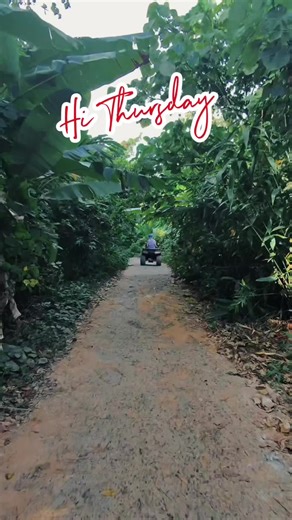 Riding ATVs through the Thailand jungle. #CapCut #thusday #atv #phuket #motovation