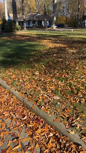 Leaf cleanup services | Southside Lawn Solutions LLC | Facebook