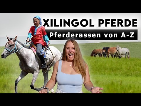 Horse breeds from A-Z | Xilingol horses - You probably didn't know that!