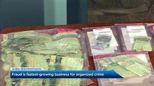 Fraud is fastest-growing business for organized crime