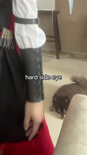 i’m ngl i forgot this app exists i wrote a 22 page brief in 2 days #rwby #rubyrose