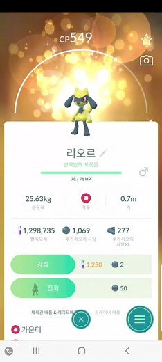 #포켓몬 #포켓몬고 #이로치 #리오르 #진화