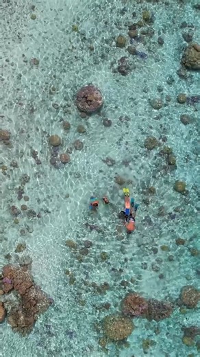 A day of snorkeling in the lagoon and relaxing on the beach, with one of French Polynesia's iconic backdrops... In Bora Bora, the most beautiful dreams come true 🏝️ 🎶 Aremistic 🎥 Tahiti Tourisme | Air Tahiti Nui
