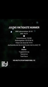 1K views · 16 reactions | 懶 | Tim Bergling Foundation | Facebook