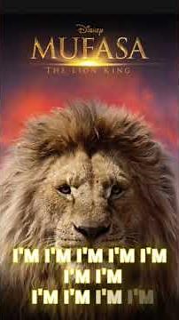The lion king Opening song lyrics beautiful