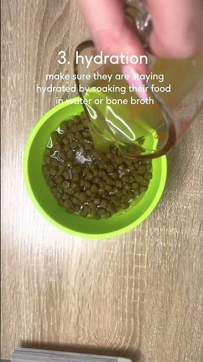 How to Help Your Dogs Dry Skin