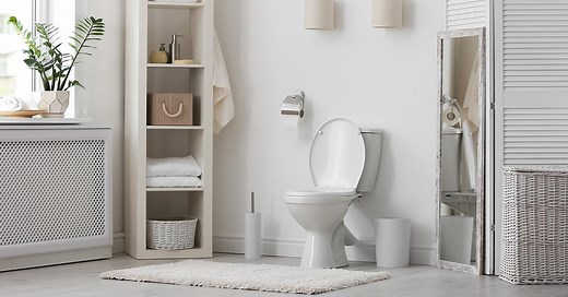 Install or replace a toilet | RONA
