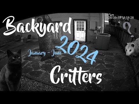 2024 Jan Jun Backyard Critters
