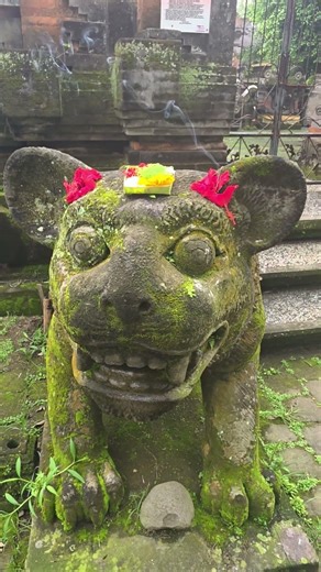 발리 우붓, 신들과 귀신들 ㅡ Ubud, Bali, Gods and Ghosts