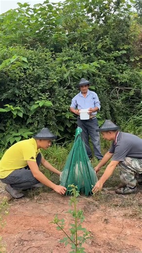 "Mastering the Art of Fishing 🐟- Pro Tips & Big Catches!"😯🔥#shorts #fishing #youtubeshorts #art