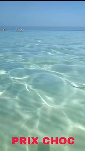 Voyage organisé août 2023 a partir de 39 900 Da💰 ↗️Au Programme pour L’été Au mois d’août en Tunisie 👉 07 jours à El Kantaoui Center 4* Transport 02 Excursions 👉Départs 05/08 , 11/ 08, 17/08, 23/08 ,30/08 💰 a partir seulement de 39 00 Da. Départ 07: (07jours -06nuits) le 05/08/2023 — Arrivée a l’hôtel le : 06/08/2023 ⤵Retour le : 12/08/2023 —Arrivée en Algerie le 13/08/2023 🚌 Départ 08: (07jours -06nuits) le 11/08/2023 — Arrivée a l’hôtel le : 12/08/2023 ⤵Retour le : 18/08/2023 —Arrivée en 