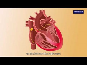 Book E1 Chapter 3 Flipped classroom