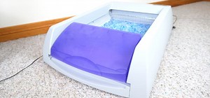 Unbiased PetSafe ScoopFree Self Cleaning Litter Box Review - Cats.com