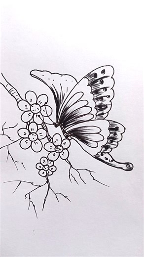 2K views · 24 reactions | Simple butterfly drawing easily.. #butterflydrawing #drawing #reels #reelsviralシfb #art #pencildrawing #Simplydrawing | Akan Art | Facebook
