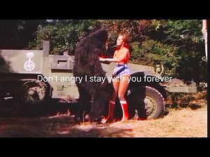 Wonder Woman vs gorilla 🦍 fighting sense 5