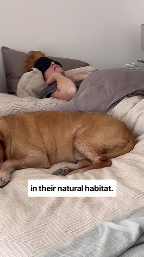 The cycle of an autoimmuner. Such a fascinating one 🤣 #rheumatoidarthritis #chronicpain #autoimmunedisorder #autoimmunedisease #healthjourney #flares #healing | Exploring Autoimmune