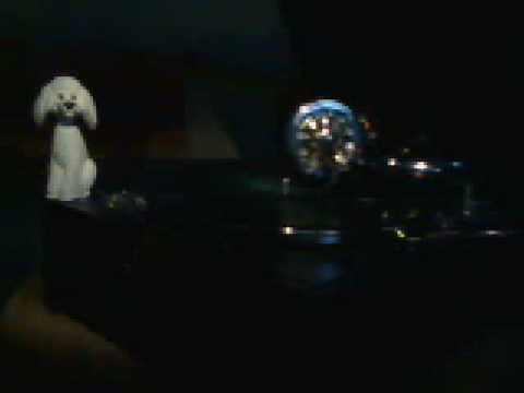 Line Renaud. Le petit chien dans la vitrine. (Phonographe) How much that doggie in the window?