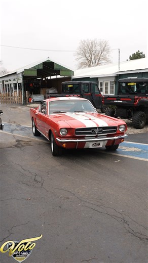 3.8K views · 100 reactions | 1965 Ford Mustang (V21428) https://www.volocars.com/auto-sales/vehicles/18294/1965-ford-mustang | Volo Museum Auto Sales | Facebook