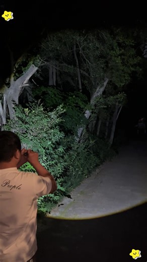 2. Strongest flashlight ever!! #flashlight #strongflashlight #laserflashlight