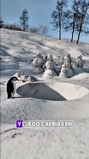 We'll be waiting for you at the Corner of Inclusion.