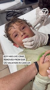 21M views · 78K reactions | A young boy in Cancun was in for one shell of a surprise when a tiny crab made his ear its home. The young boy was swimming in open waters while on vacation in Cancun when he felt something in his ear. Immediately his mother took him to the hotels hospital to get it removed, “The crab was alive when it came out, and they took it straight to the beach." | ABC7 News | Facebook