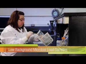 3M™ Petrifilm™ Salmonella Express System