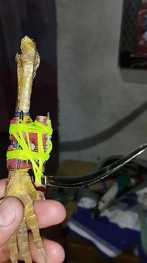 Mastering Sabong: Techniques for Better Cockfighting